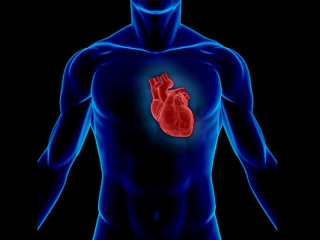 Cardiac surgeons
